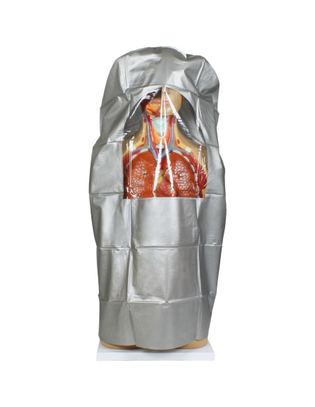 Torso Humano Parco Scientific 17 Piezas Removibles 11.24 kg