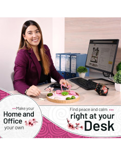 Jardín Zen para Escritorio Allowander con Arena Rosa y Flamencos 2