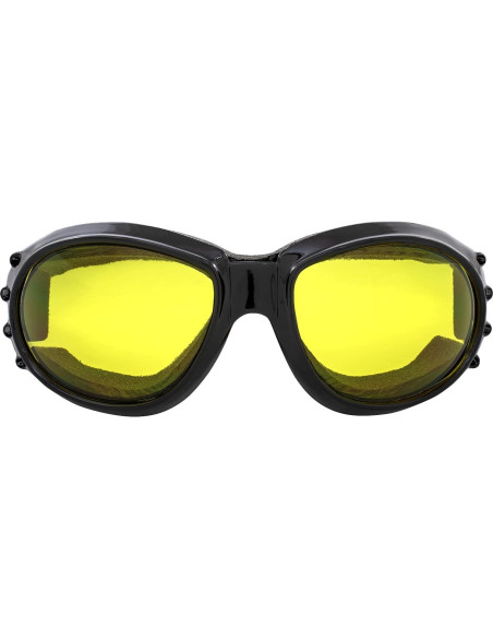 Gafas de Motociclismo Birdz Eyewear Bald Eagles - 2 Pares