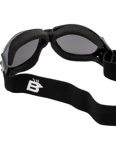 Gafas de Motociclismo Birdz Eyewear Bald Eagles - 2 Pares