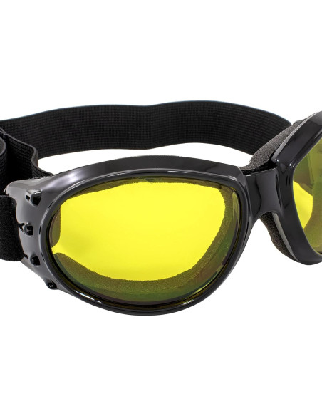Gafas de Motociclismo Birdz Eyewear Bald Eagles - 2 Pares