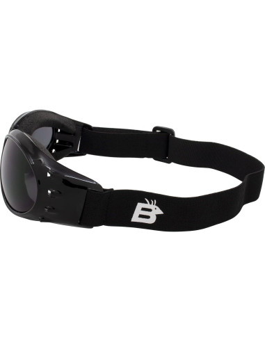 Gafas de Motociclismo Birdz Eyewear Bald Eagles - 2 Pares