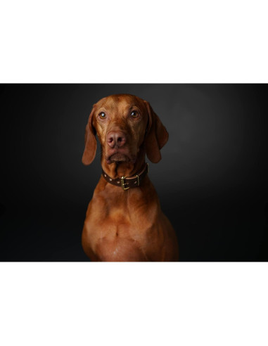 Lente Sony SEL50F14Z 50mm f/1.4 ZA Planar ZEISS