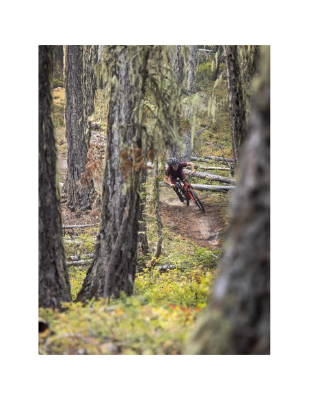 Lente Sigma 70-200mm F2.8 DG OS HSM para Nikon F Lente Sigma 70-200mm F2.8 DG OS HSM para Nikon F