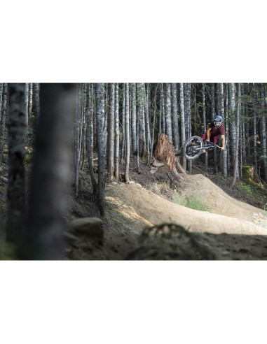 Lente Sigma 70-200mm F2.8 DG OS HSM para Nikon F