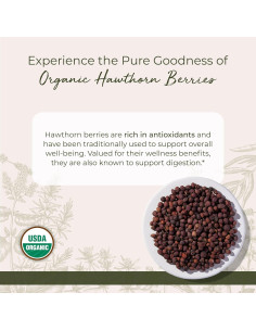 Bayas de Espino Orgánicas Starwest Botanicals 0.45 kg - Té y Mermelada 2