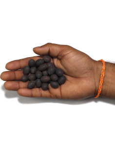 Cuentas de Kamal Gatta ASHIRWAD - 21 Piezas para Puja 2