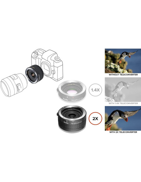 Teleconvertidor Kenko TELEPLUS HD 2X DGX para Canon - 80.9g Teleconvertidor Kenko TELEPLUS HD 2X DGX para Canon - 80.9g
