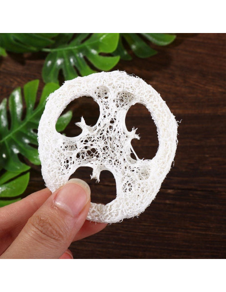 10 Rodajas de Luffa Natural Kopida para Jabón Exfoliante