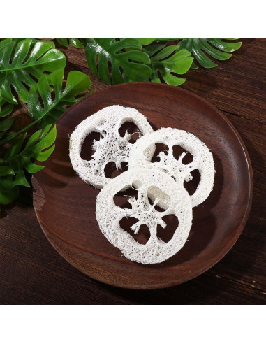 10 Rodajas de Luffa Natural Kopida para Jabón Exfoliante