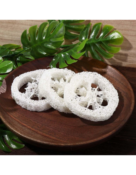 10 Rodajas de Luffa Natural Kopida para Jabón Exfoliante
