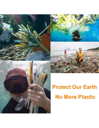 Popotes Reutilizables de Acero Inoxidable Morneve 12mm 2PCS