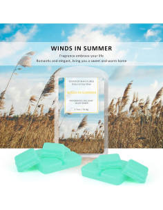 Cubos de Cera Aromática STRN de Soja - Set 4 Aromas 370 g 2