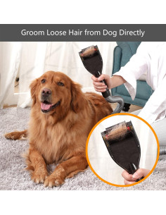 Cepillo de Aseo para Mascotas Defurry - Accesorio Aspiradora Dyson 2