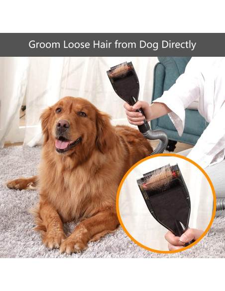 Cepillo de Aseo para Mascotas Defurry - Accesorio Aspiradora Dyson