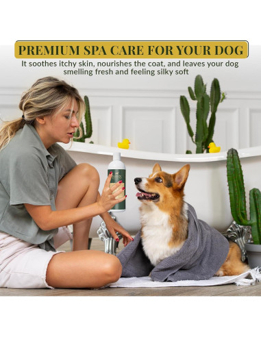 Champú y Acondicionador 5 en 1 Barrow & Hound - Natural, Hipoalergénico, 473ml