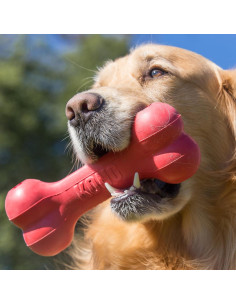 KONG Goodie Bone Hueso de Goma Natural para Perros Medianos 2