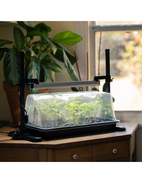 Mini Invernadero LED SunBlaster con Soporte y Temporizador