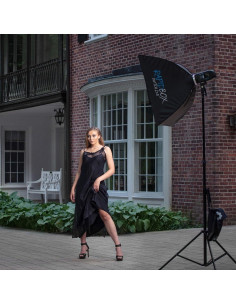 Dish de Belleza Westcott Switch 91.4 cm con Placa Deflectora 2