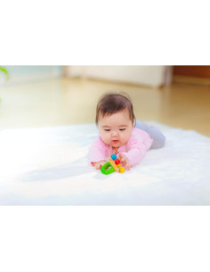 Sonajero y Mordedor de Madera PlanToys 6.2x7.8cm No Tóxico 2