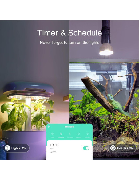 Enchufe Inteligente GHome Wi-Fi 2 Tomas Resistente al Agua IP64