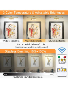 Luz de Imagen LED Inalámbrica Tassuowell 40 cm con Control Remoto 2
