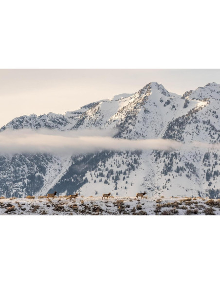 Lente Sigma 100-400mm f5-6.3 DG DN OS para Sony E - Telefoto Lente Sigma 100-400mm f5-6.3 DG DN OS para Sony E - Telefoto