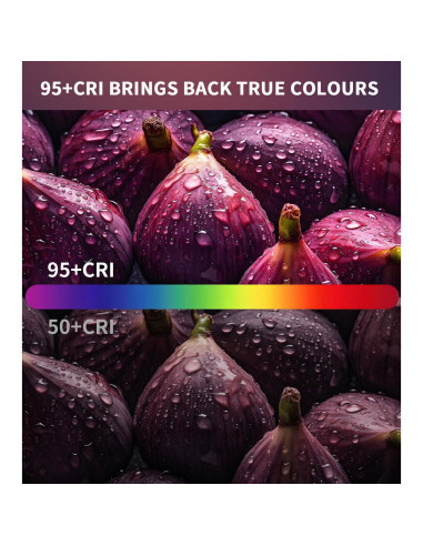 Kit de Iluminación LED Dúo HONOMO 120 y 192 LEDs Portátil