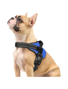 Arnés para Perros Rabbitgoo Pequeño Azul Ajustable Reflectante