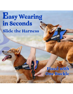 Arnés para Perros Rabbitgoo Pequeño Azul Ajustable Reflectante 2