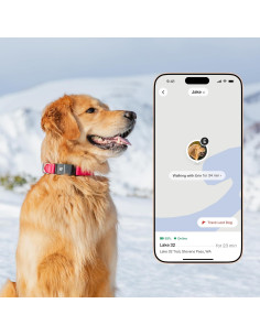 Collar Inteligente para Perros Fi Serie 3+ - GPS, Salud y Alertas 2
