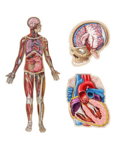 Rompecabezas de Anatomía Humana para Niños Genius Games - 100 Piezas 2