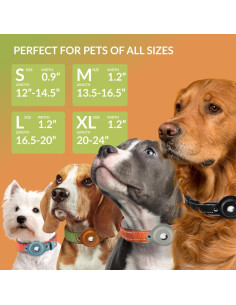Collar para Perros Airtag CollarDirect Ajustable Verde 42-50.8 cm 2