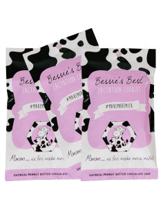 Galletas de Lactancia Bessie 680g | Avena y Chocolate