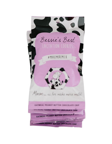 Galletas de Lactancia Bessie 680g | Avena y Chocolate