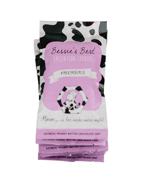 Galletas de Lactancia Bessie 680g | Avena y Chocolate