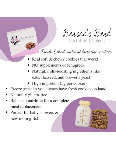 Galletas de Lactancia Bessie 680g | Avena y Chocolate