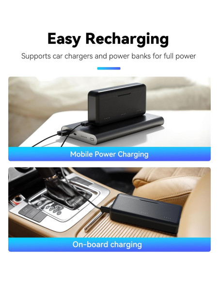 Cargador de Batería TELESIN para DJI Osmo Action 3/4 con Estuche