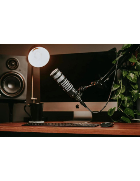 Brazo de Micrófono Ajustable by Warm Audio 512-BBA 1.36 kg