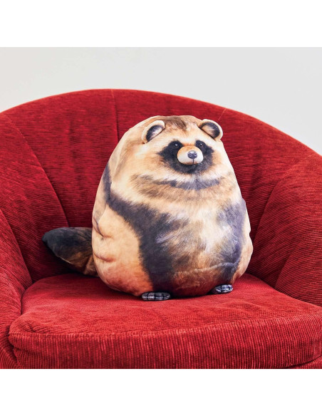 Peluche de Mapache Jason Toys 25.4 cm Suave y Decorativo