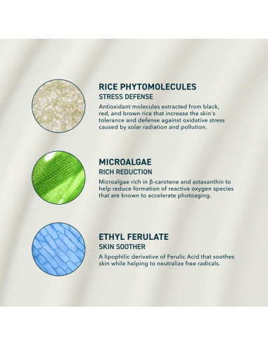 Protector Solar Facial Prequel Skin SPF 46 Hidratante 48g