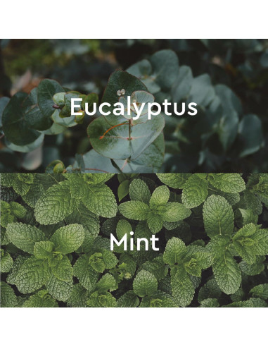 Baño de Burbujas Eucalipto Kneipp 400 ml - Vegano y Sin Sulfatos