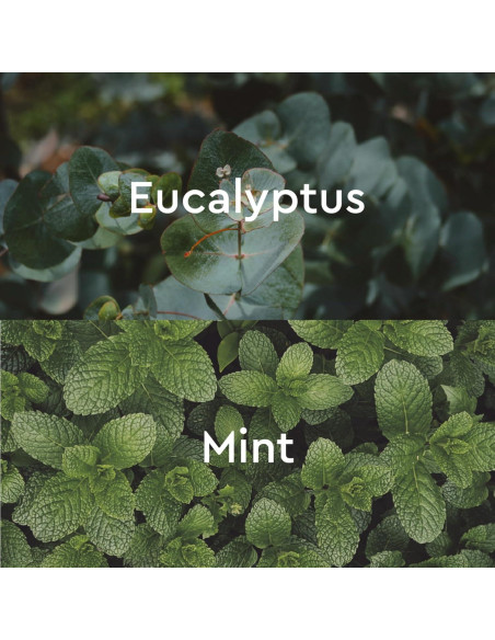 Baño de Burbujas Eucalipto Kneipp 400 ml - Vegano y Sin Sulfatos