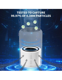 Paquete de 2 Filtros de Reemplazo LEVOIT Core 300 H13 Carbón Activado 2