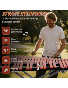 Xilófono Profesional LyricLight 37 Notas de Madera con Soporte 2