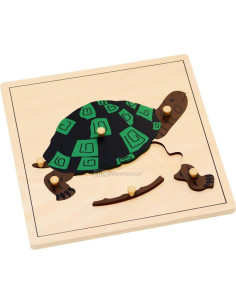 Rompecabezas de Botánica Montessori Elite 24x24 cm 2