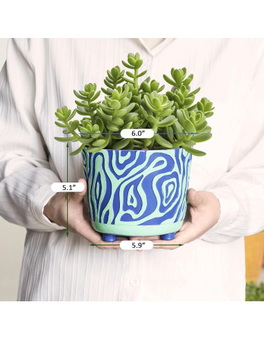Maceta Moderna Pointnio 15.3 cm Olas Talladas Verde Azul