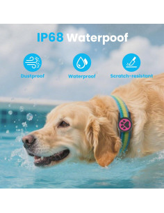 Soporte para Collar de Perro Airtag QRTagLab Impermeable 2