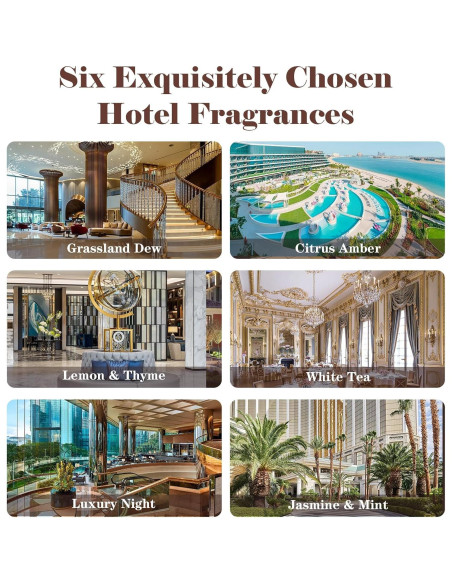 Aceites Esenciales de Aromaterapia AmaKane 6x10ml - Aromas de Hotel