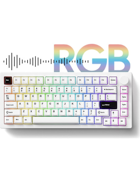Teclado Mecánico MonsGeek M1 V5 75% Aluminio RGB 8000mAh